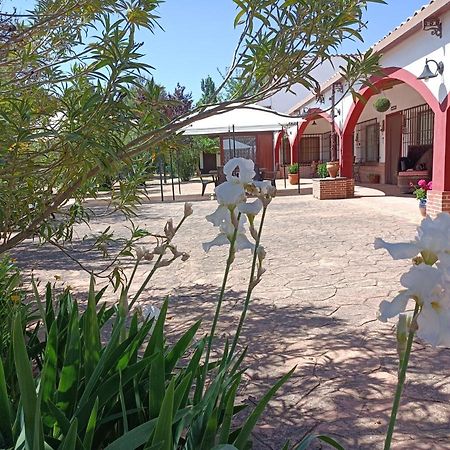 Casa Rural El Palomar Villa Pedro Muñoz Kültér fotó